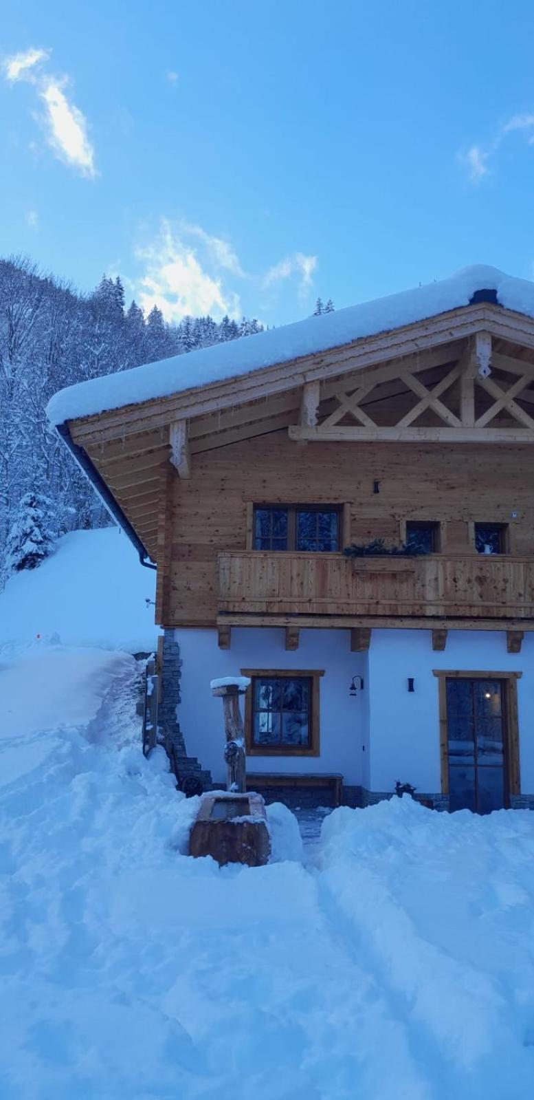 Riedlfeld Chalet Dienten am Hochkönig Екстериор снимка